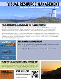 Visual Resource Management