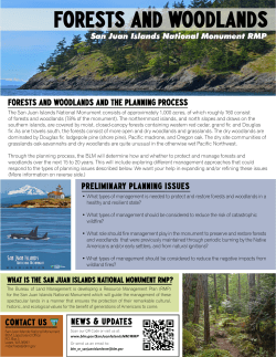 Forests and Woodlands