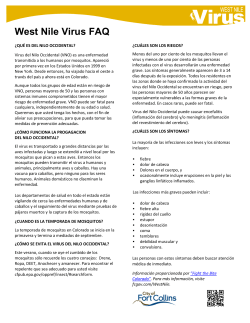 Preguntas m s frecuentes y sus respuests (PDF)