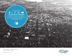 Economic Health Strategic Plan