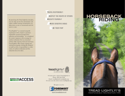 horseback tips sm