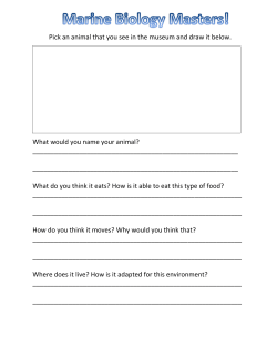Marine Animal Adaptations, Grades K-3