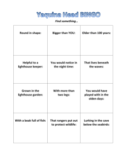 Bingo, Grades K-2