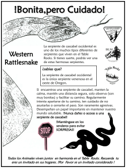 Serpiente de Cascabel