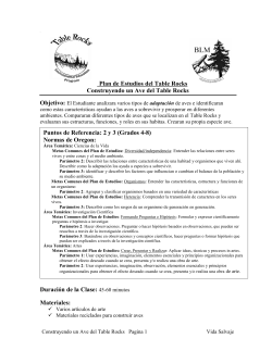 Construyendo un Ave del Table Rocks