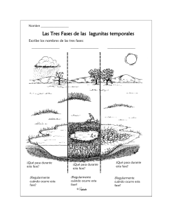 Actividades de investigadores de las lagunitas temporales
