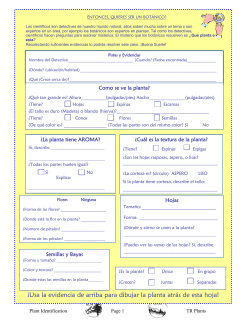 Entonces Quieres Ser un Bot&aacute;nico?