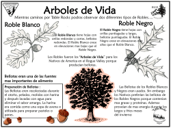 El Roble: rboles de Vida