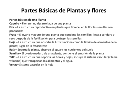 Partes B sicas de las Plantas y Flores