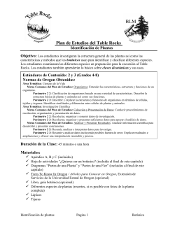 Identificaci n de Plantas