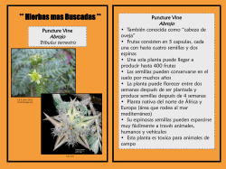 Cartas de las Hierbas mas Buscadas