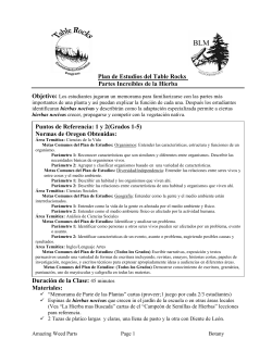 Las Partes Incre bles de las Hierbas