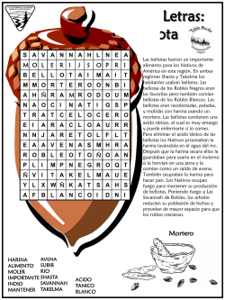 Bellota Sopa de Letras