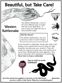 Rattlesnake
