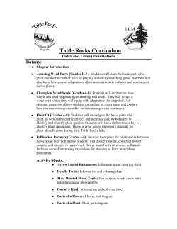 Index 2008