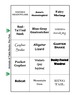 Habitat Pen Pals Animal Cards