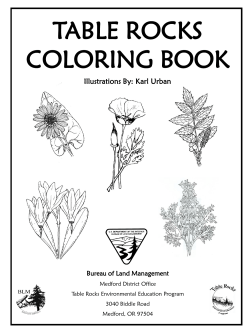 Table Rocks Coloring Book