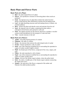 Basic Plant and Flower Parts