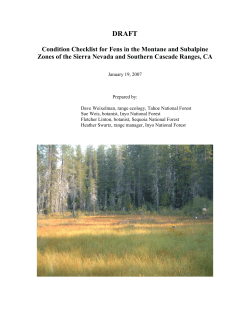 R5 Fen Condition Checklist Assessment - Draft 01-19-07