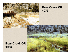 Arizona Briefing
