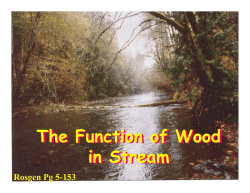 Large Woody Material Processing - John Anderson (5/04)