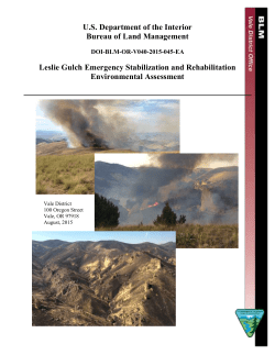 DOI-BLM-OR-V040-2015-045-EA-LeslieGulchESR.pdf