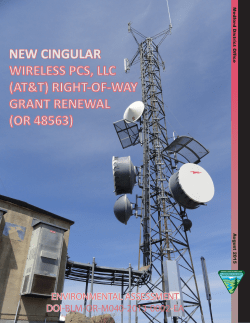 20150824_mdo_new_cingular_wireless.pdf