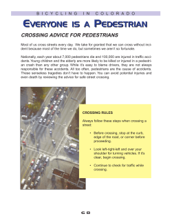 Everyone is a Pedestrian