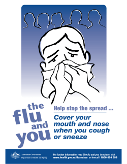Flu Prevention Posters