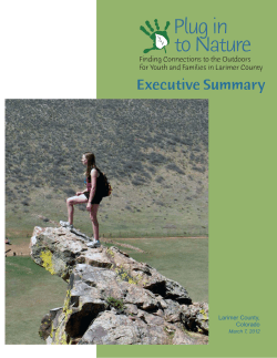executive summary