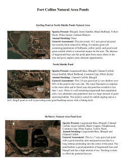 pond assessment
