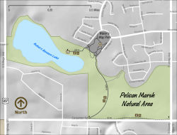 Pelican Marsh Trail Map
