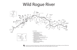 Campsites With Bear Fences