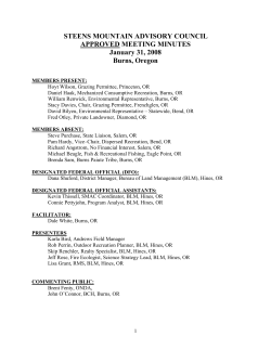 January 31, 2008 Final Meeting Minutes