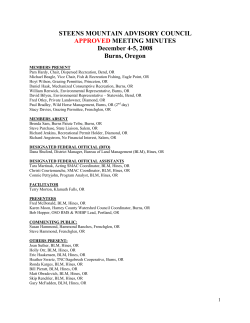 December 4-5, 2008 Final Meeting Minutes