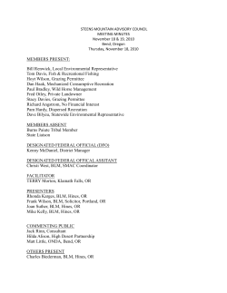 November 18-19, 2010 Final Meeting Minutes