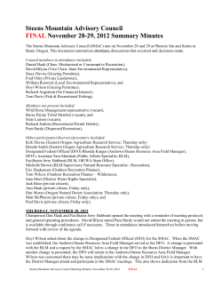 November 28-29, 2012 Final Meeting Minutes