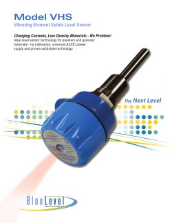 Model VHS Sales Flyer