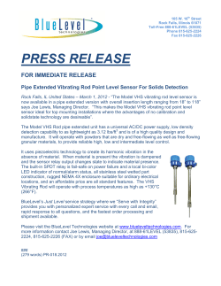 Model VHS Pipe Extended Vibrating Rod Level Sensors