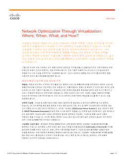 Network Optimization Through Virtualization: Where, When, What, and How?