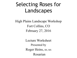 Roger's Presentation: Learning How to Choose Roses for Northern Colorado.pdf