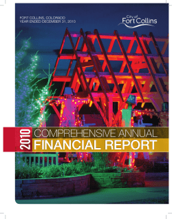 2010 Financial Report (PDF 2.1MB)