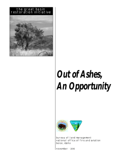 Out of Ashes, An Opportunity