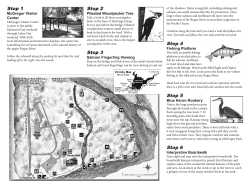 Interpretive Trail Brochure