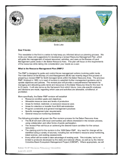 Baker RMP Revision Planning Newsletter July 20th 2008