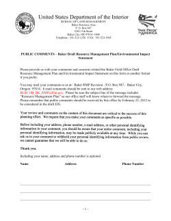 Public Comment Form PDF