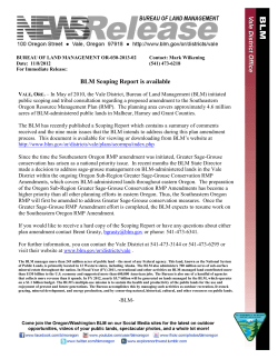 The BLM has recently published a Scoping Report which contains a summary of comments received and the nine main issues that the BLM intends to address during this plan amendment process. This document is available for viewing or downloading from BLM's website at http://www.blm.gov/or/districts/vale/plans/seormpa/index.php