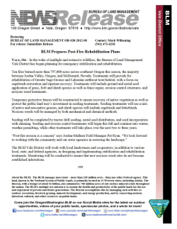 BLM Prepares Post-Fire Rehabilitation Plans