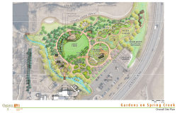 Master Plan Rendering