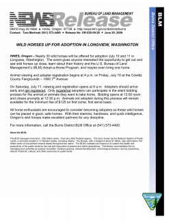 Nearly 30 wild horses will be offered for adoption July 10 and 11 in Longview, Washington. The event gives anyone interested the opportunity to get out and see wild horses up close, learn about their history and the U.S. Bureau of Land Management's (BLM) Adopt-a-Horse Program, and maybe even bring one home.